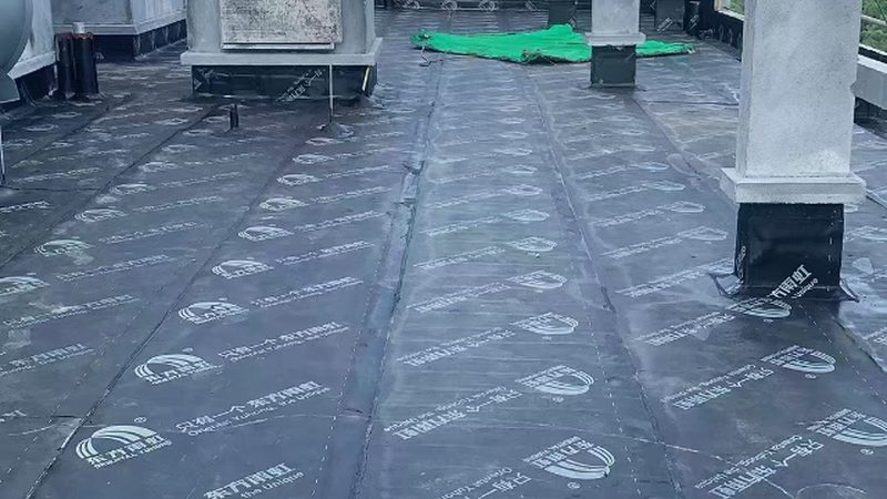 揭秘上海JS防水涂料：性能与选型的关键要素
